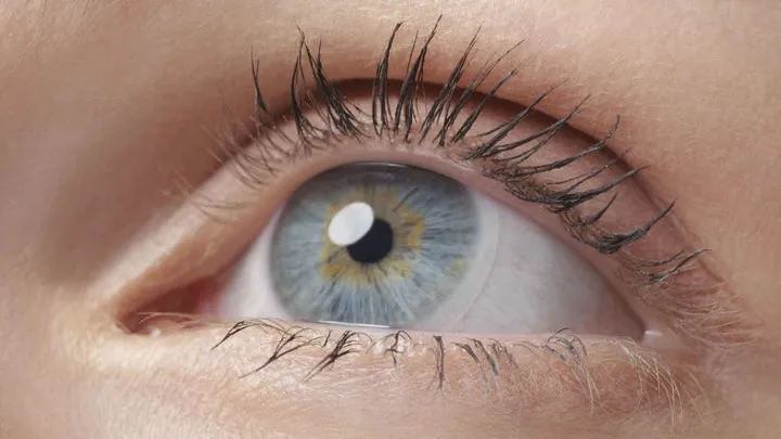 Ocuvist
